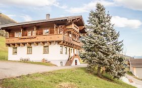 Rauchenbacher Apartments Mittersill